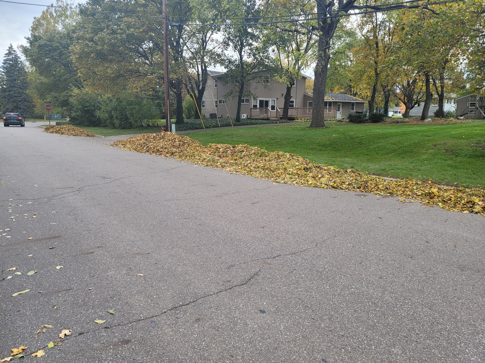 Spring property cleanup and preparation