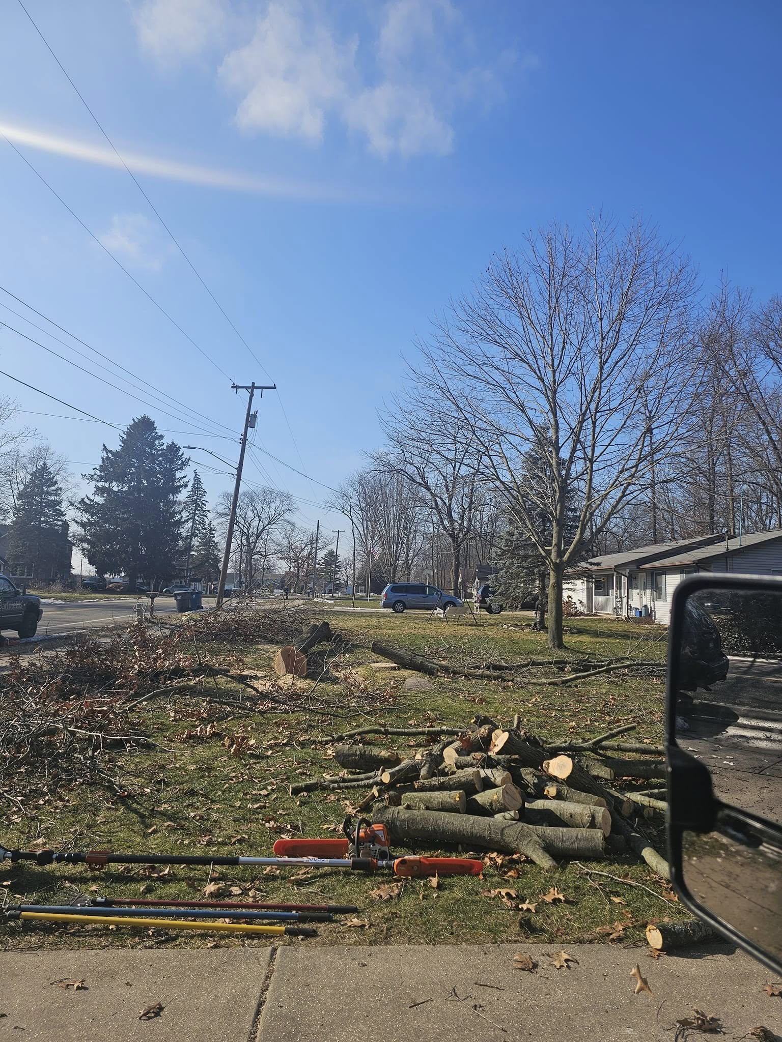 Yard waste removal and disposal
