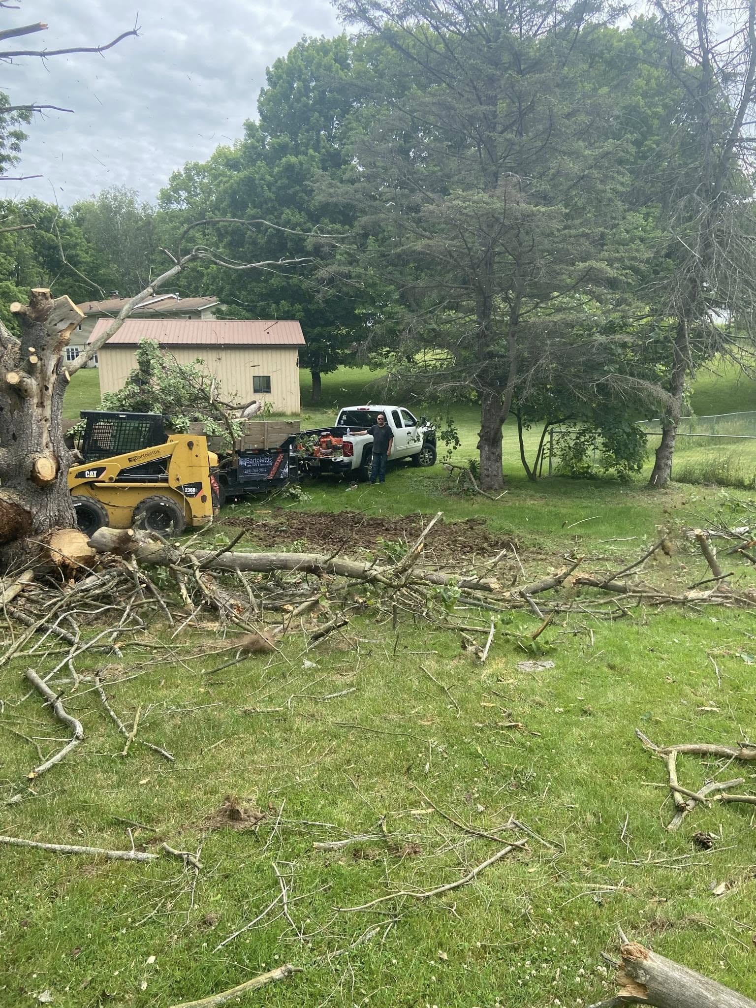 Comprehensive cleanup and yard restoration