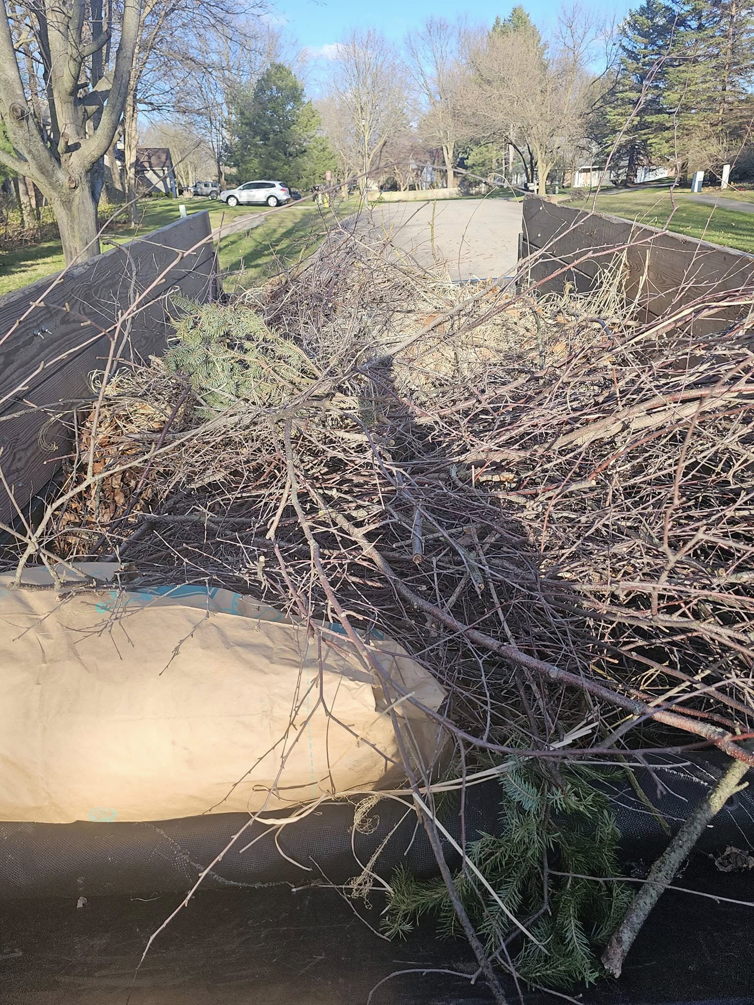 Property cleanup and maintenance service