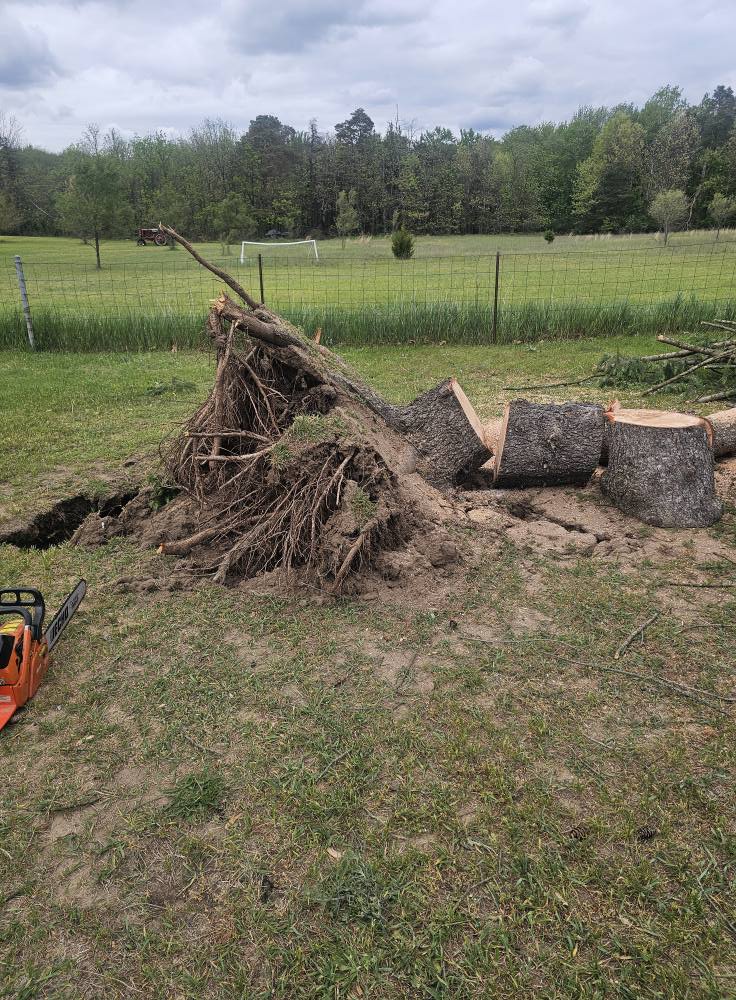 Professional leaf removal and cleanup