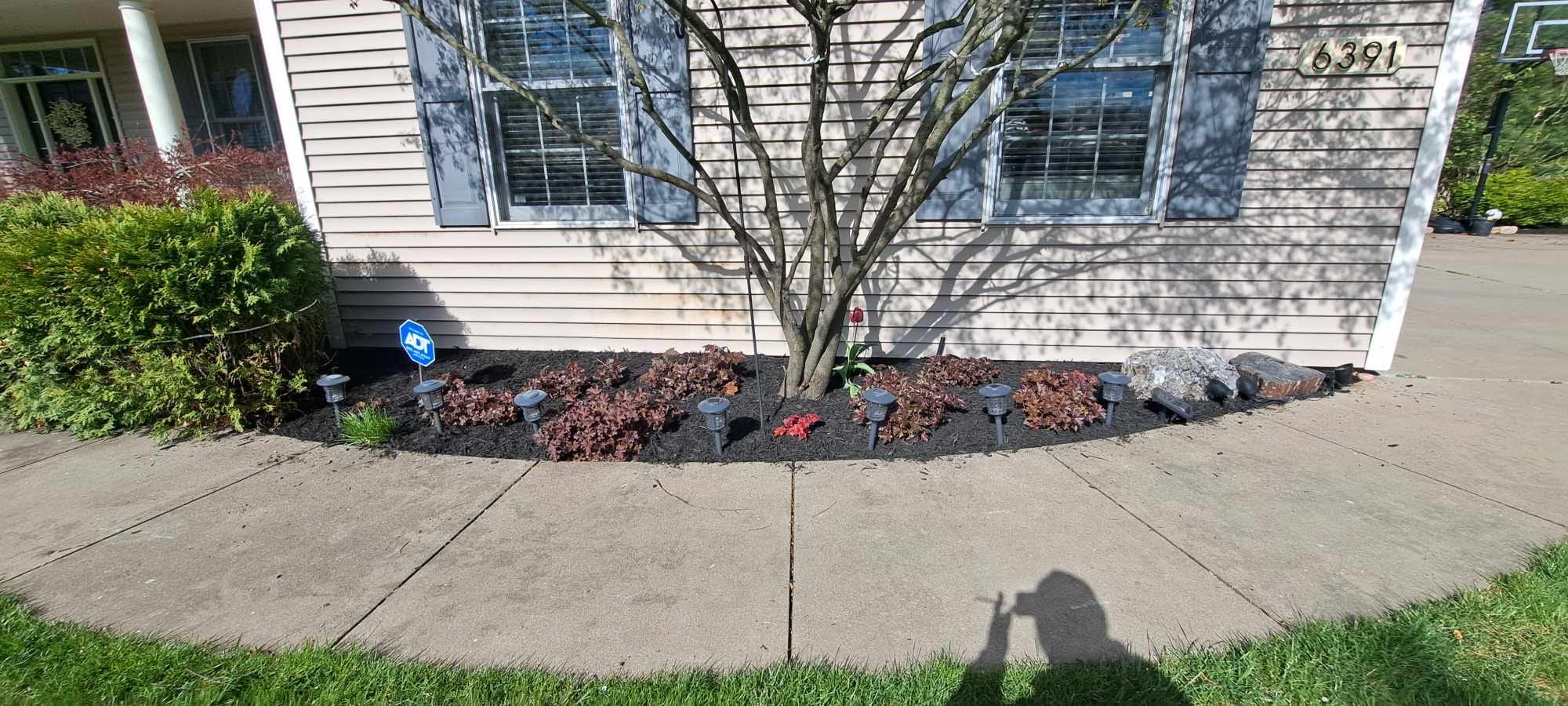 Beautiful garden bed design and planting