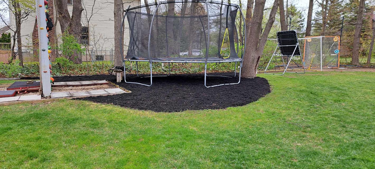 Beautiful front yard landscaping project