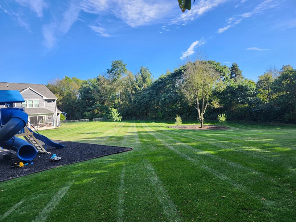 Professional grass cutting and edging