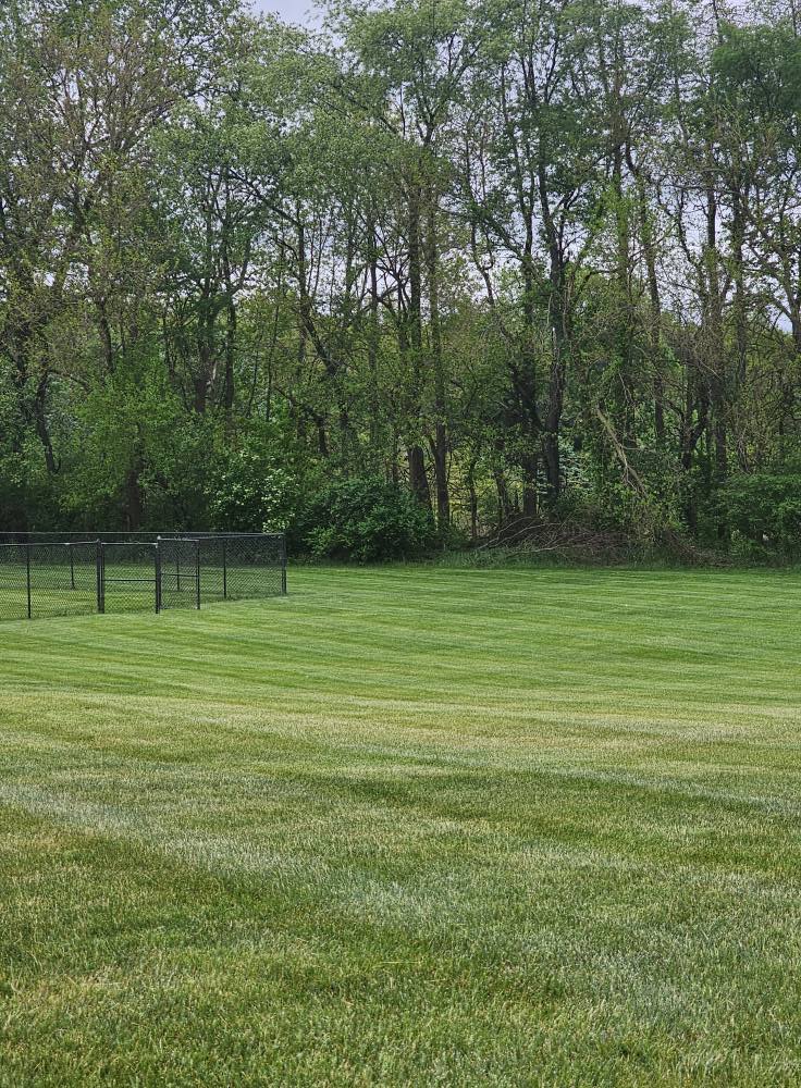 Comprehensive lawn care services