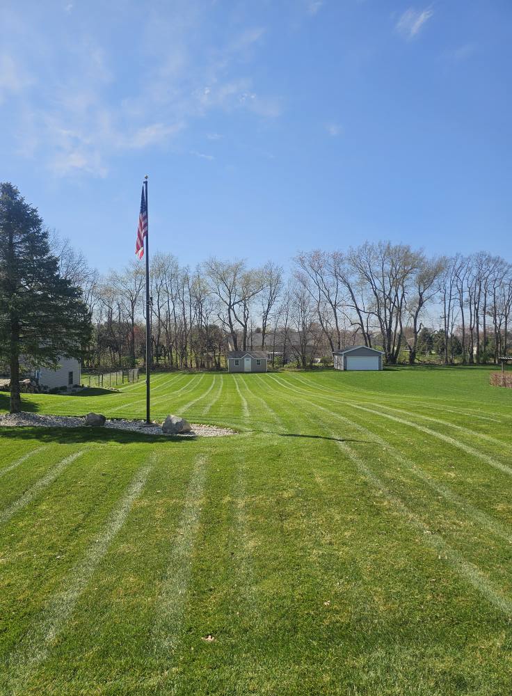 Expert lawn maintenance and care
