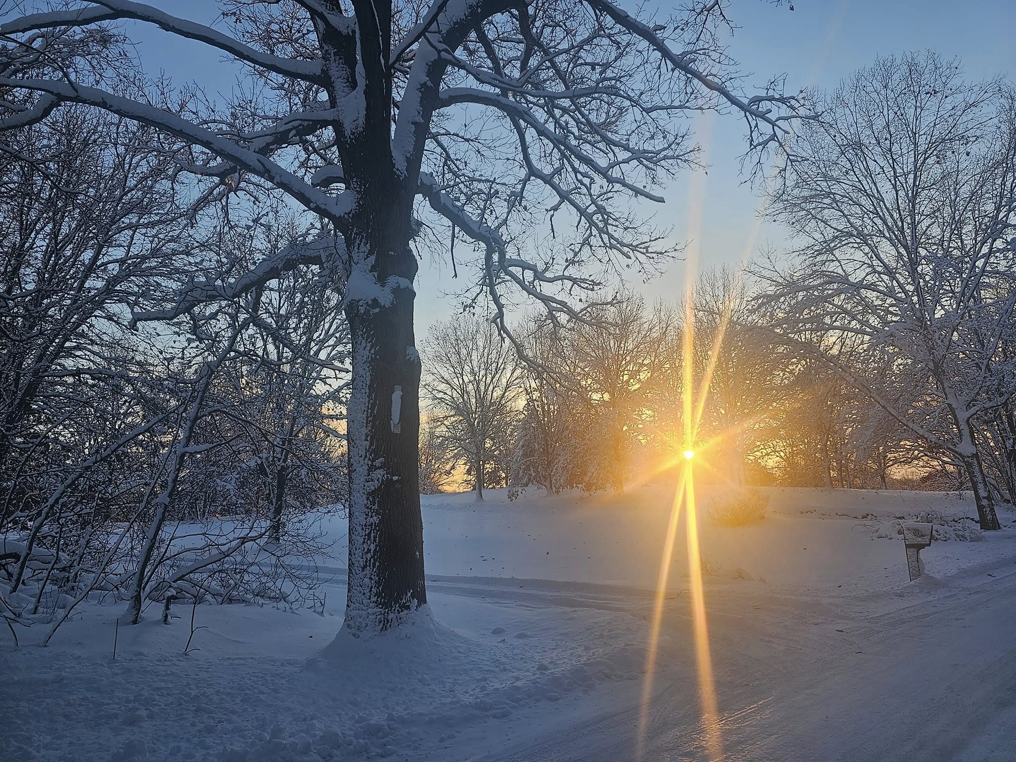 Professional winter snow management