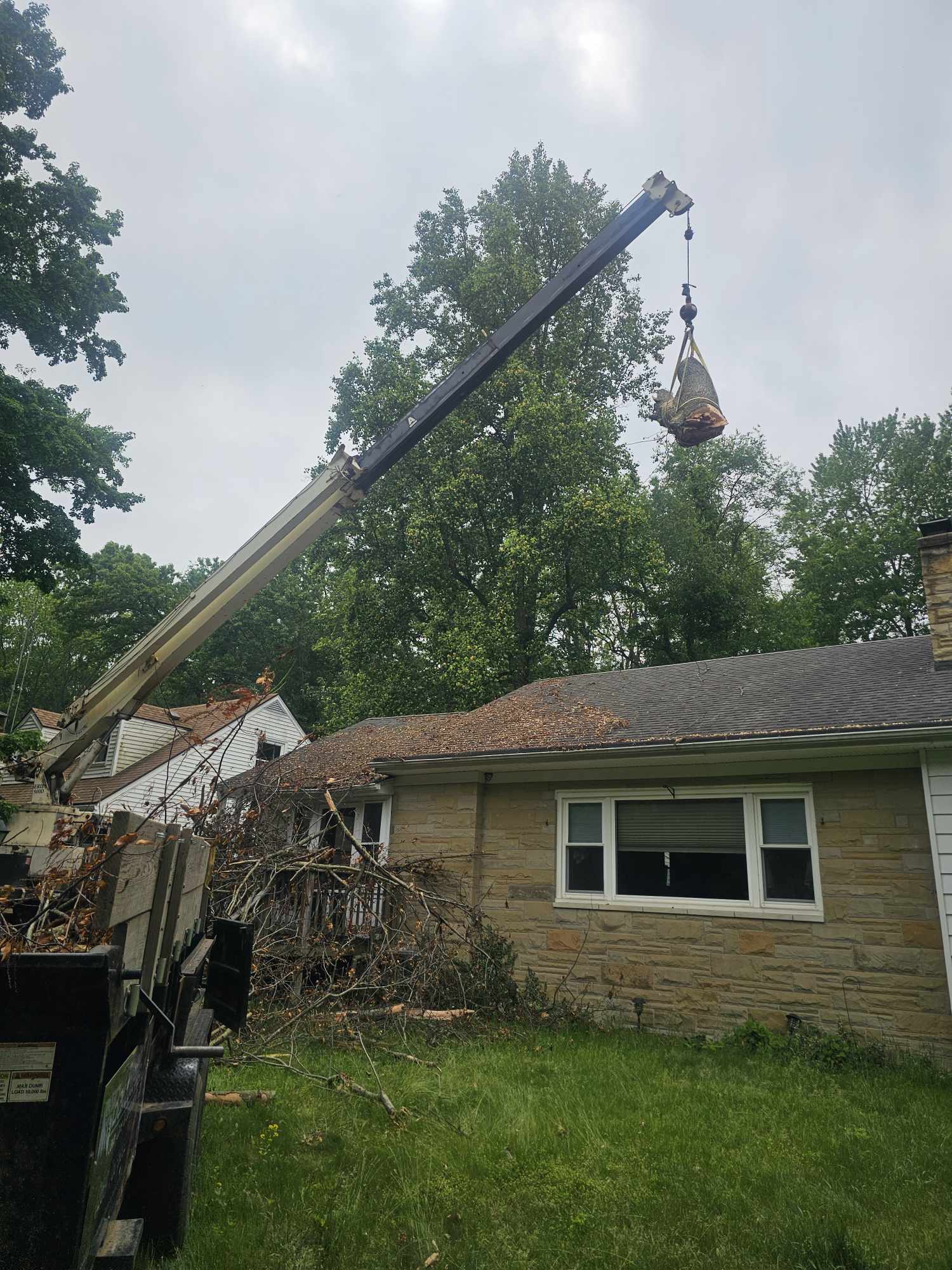 Seasonal cleanup and debris removal