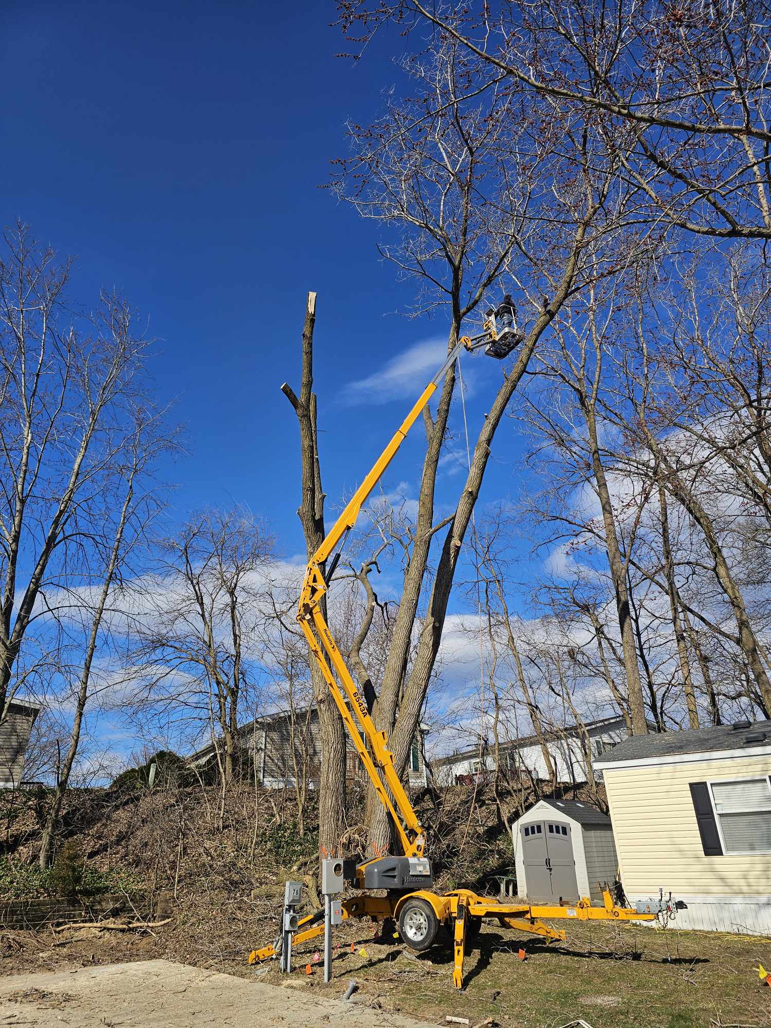 Property cleanup and waste removal