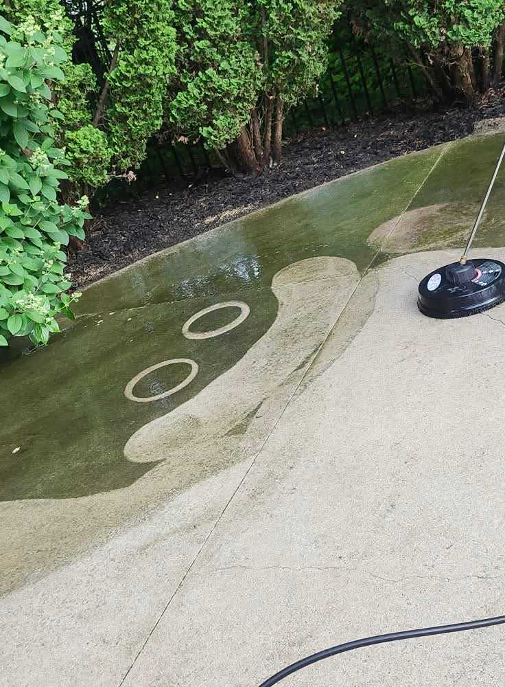 Yard cleanup and maintenance services
