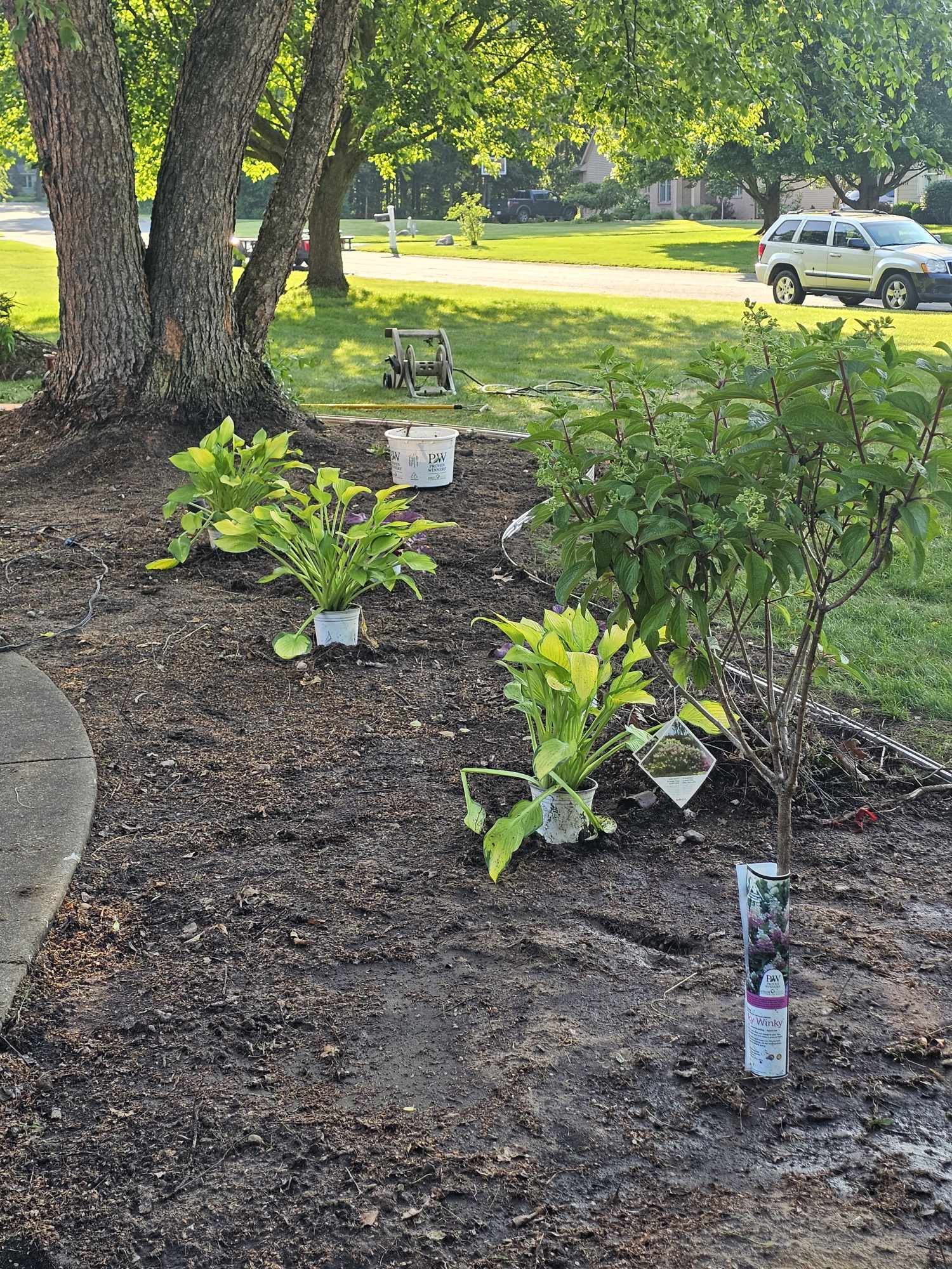 Complete landscape transformation project