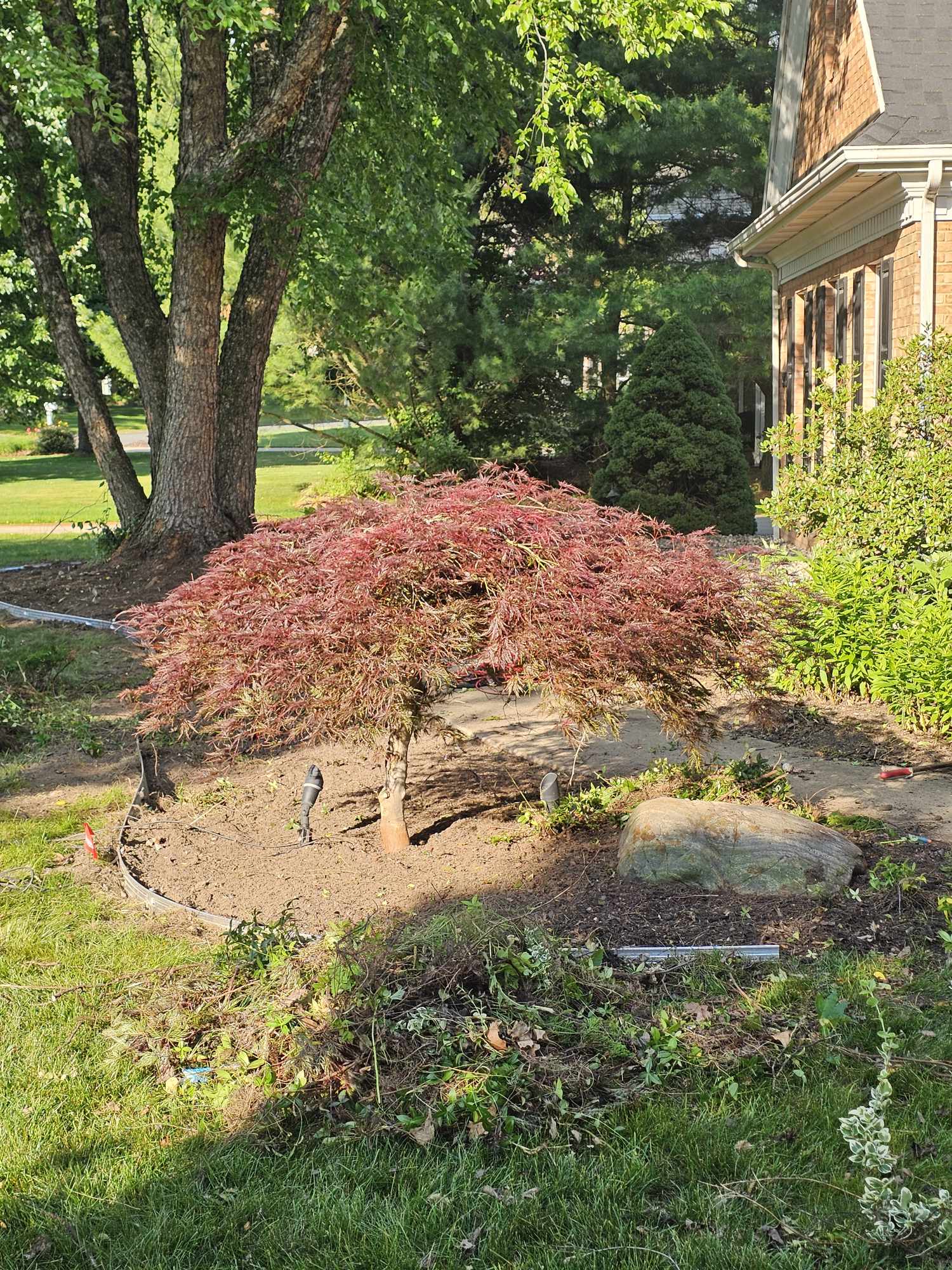 Custom landscape design and construction