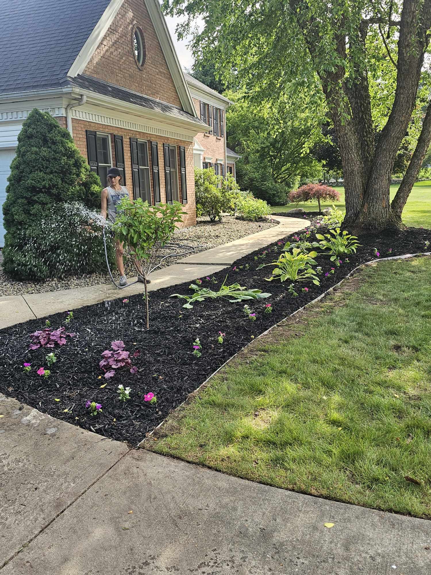 Professional landscaping and garden design