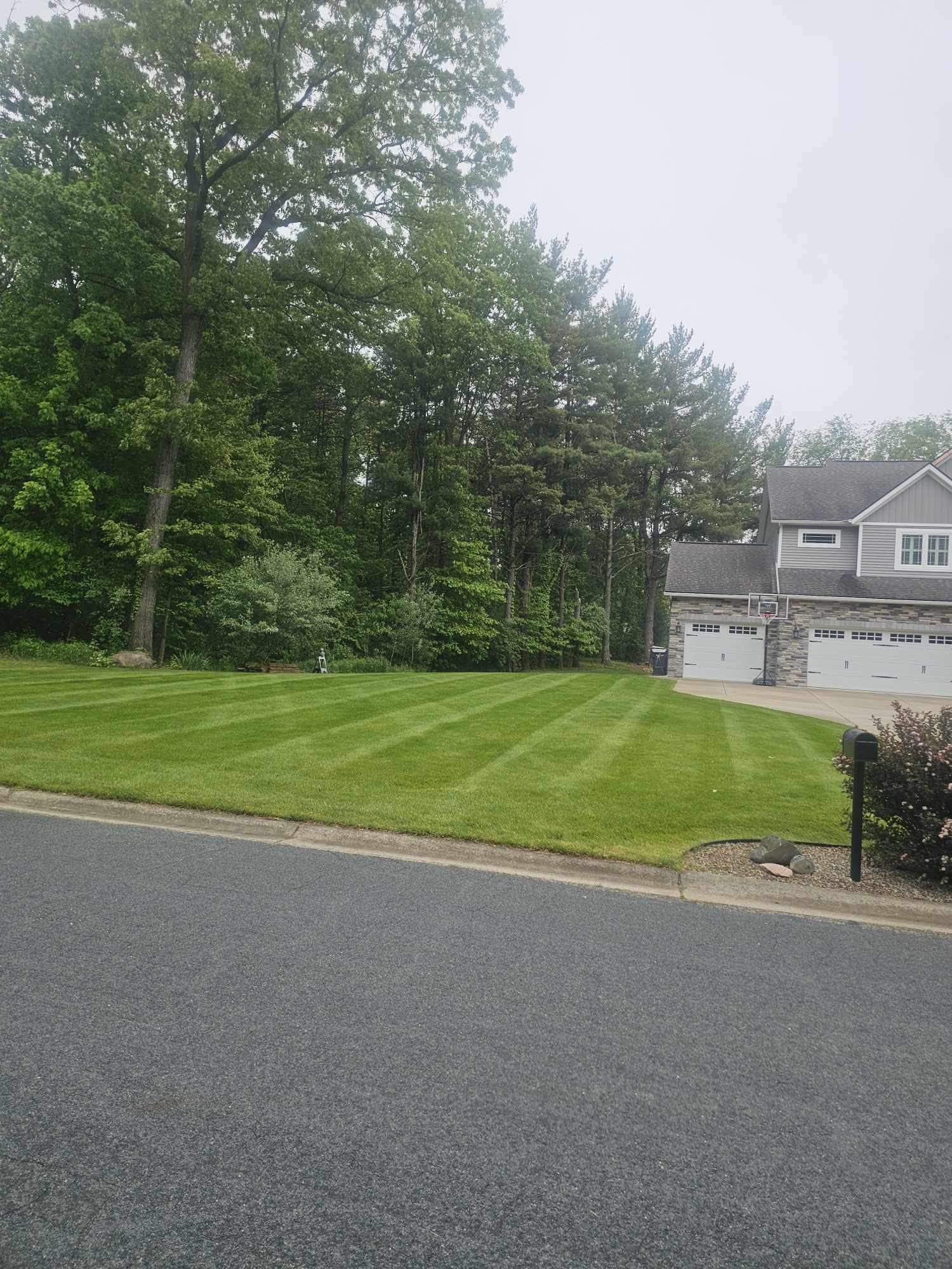 Professional lawn mowing and edging