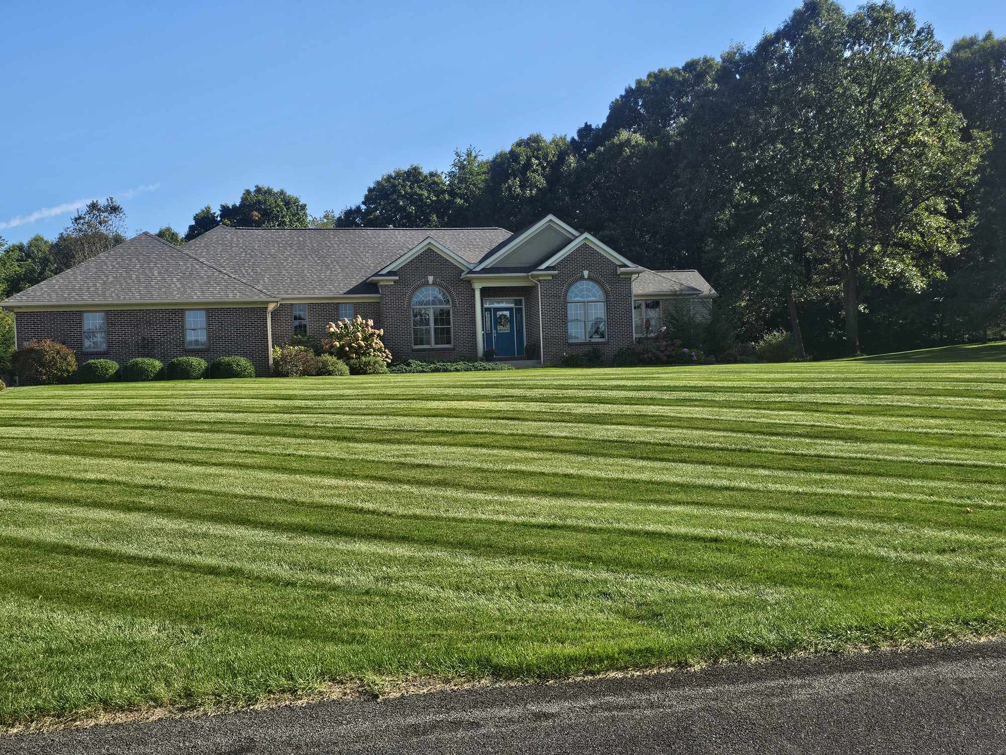 Lawn treatment and fertilization