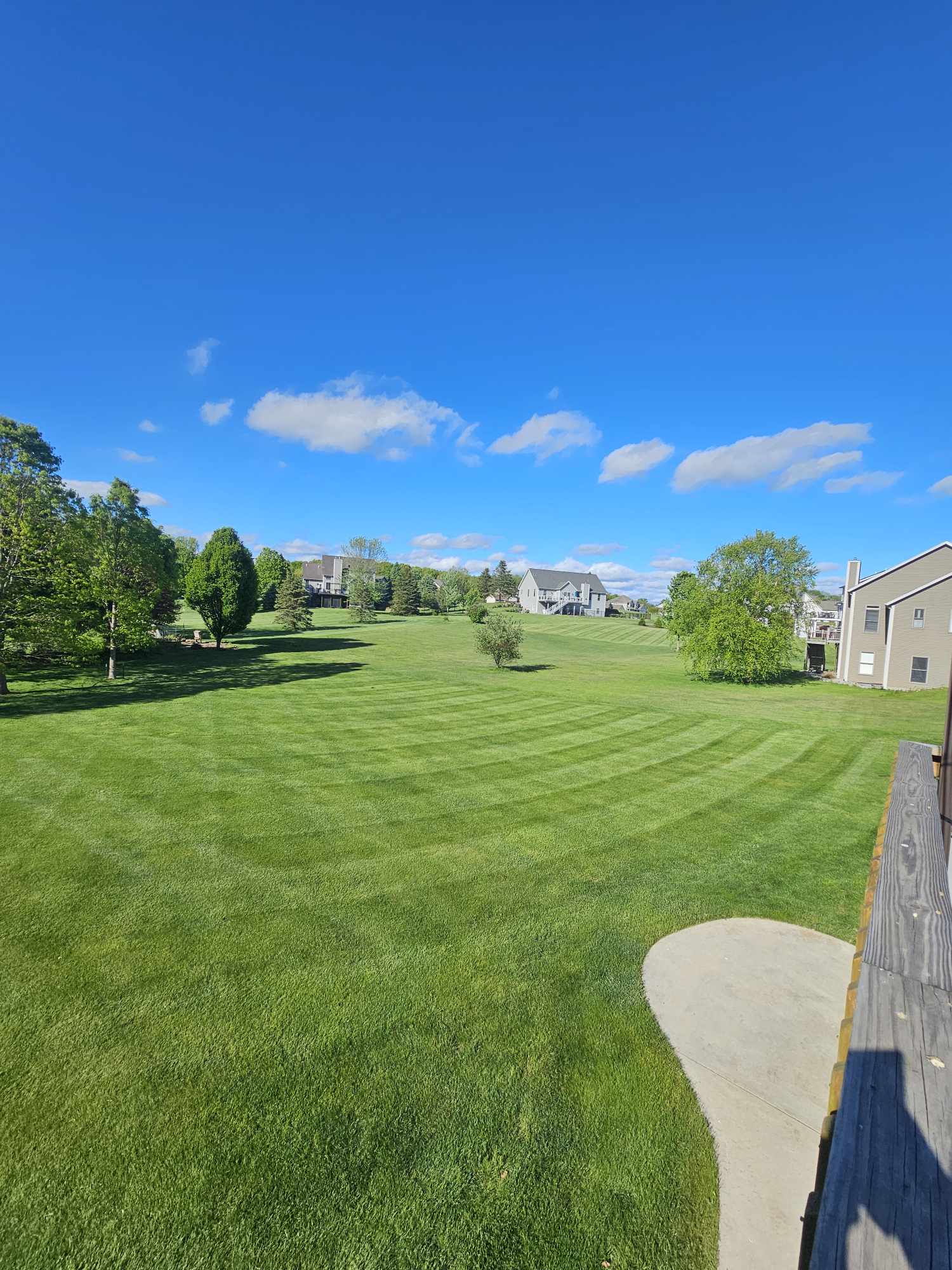 Yard maintenance and lawn care