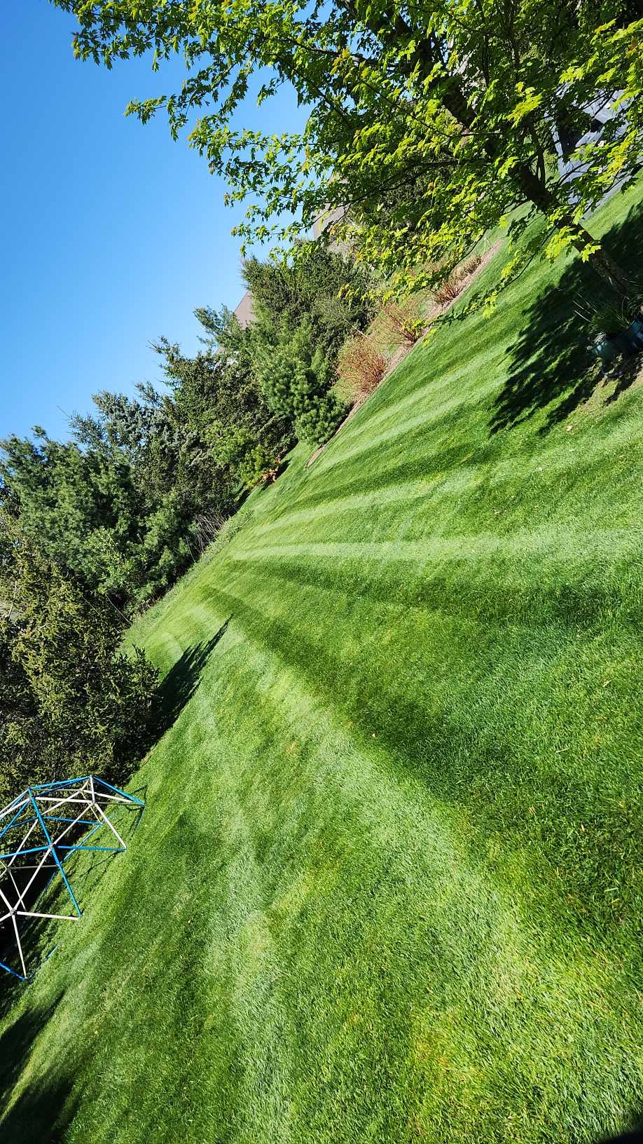 Lawn installation and seeding