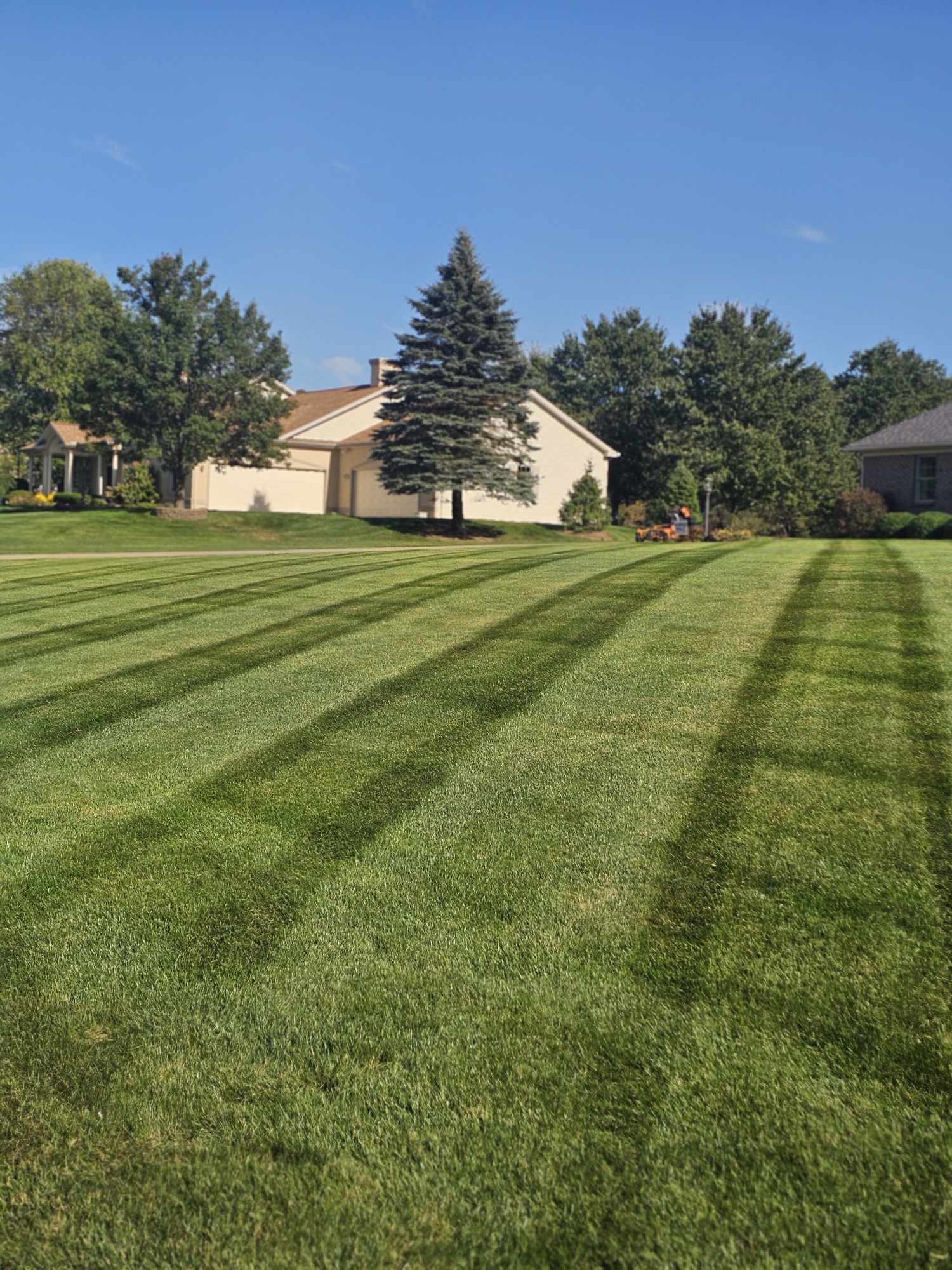 Expert lawn maintenance and care
