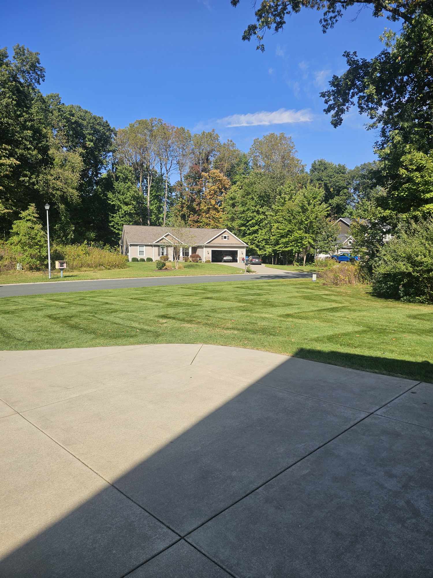 Professional lawn mowing services