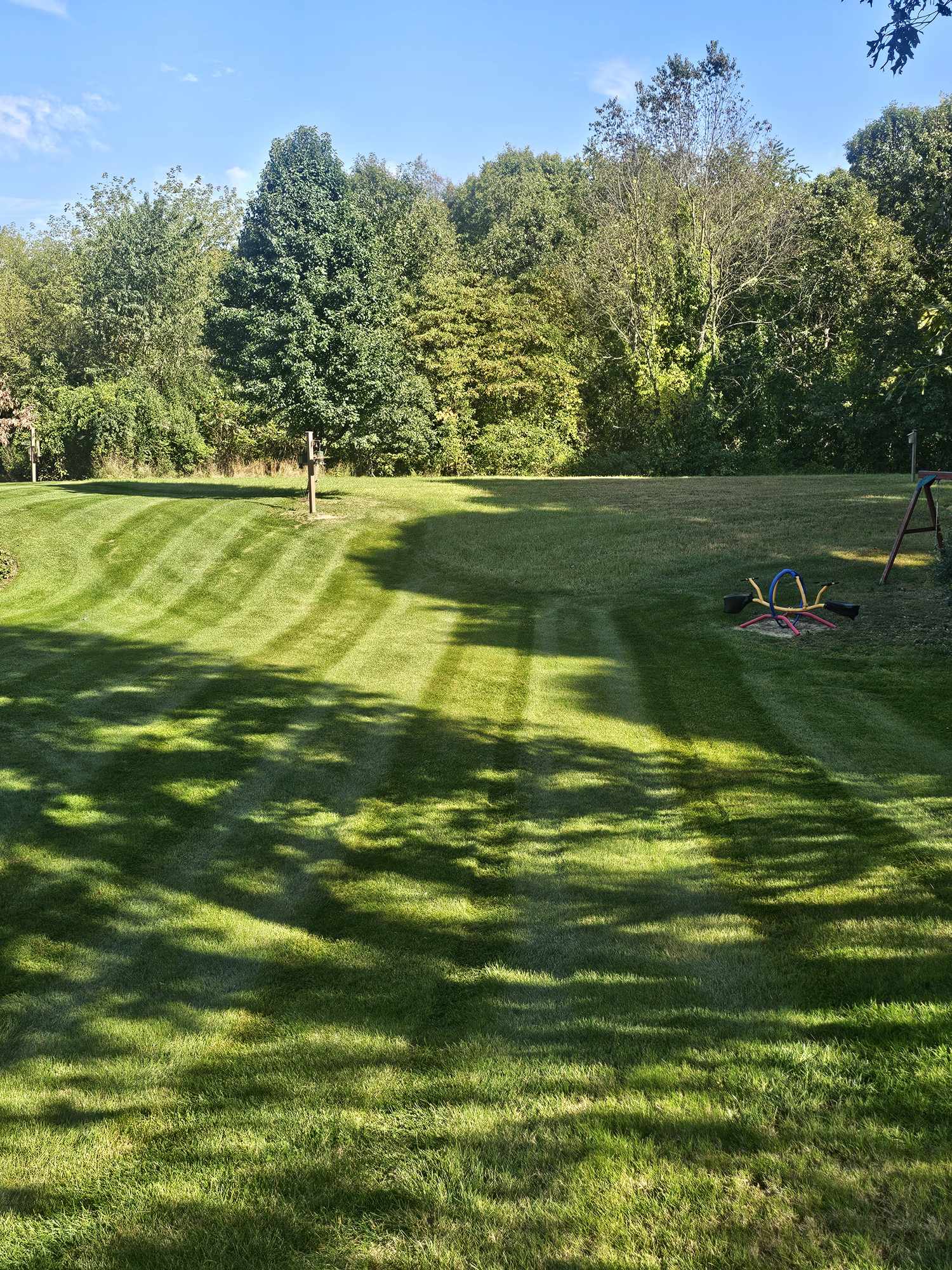 Comprehensive lawn care services